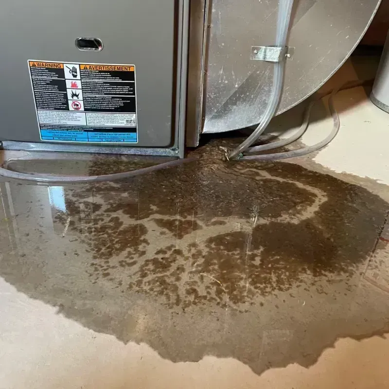 Appliance Leak Cleanup in Menifee County, KY